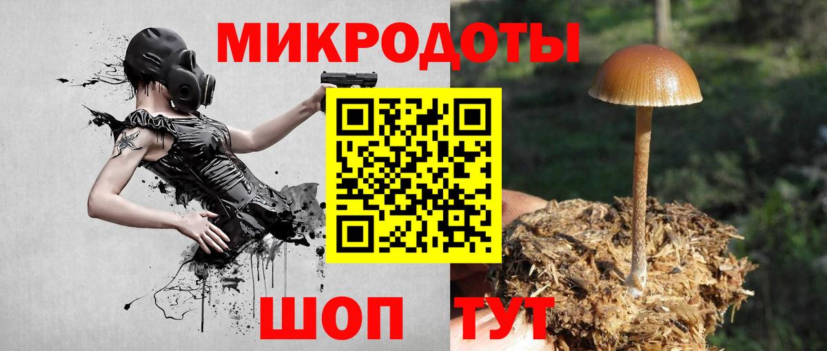 Галлюциногенные грибы прущие грибы Курчатов