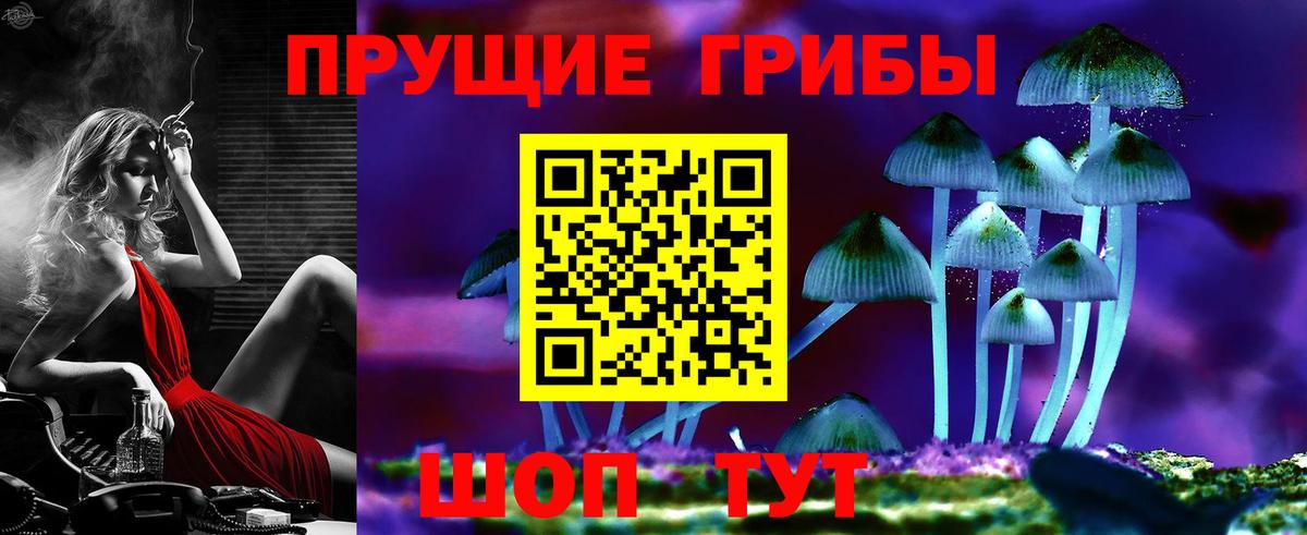 Псилоцибиновые грибы Cubensis  Вход с VPN  цена   Курчатов 